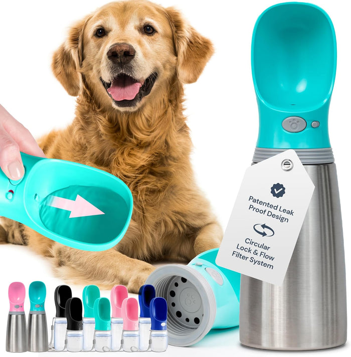 Insulated Dog Water Bottle - 24 Oz Blue, Stainless Steel