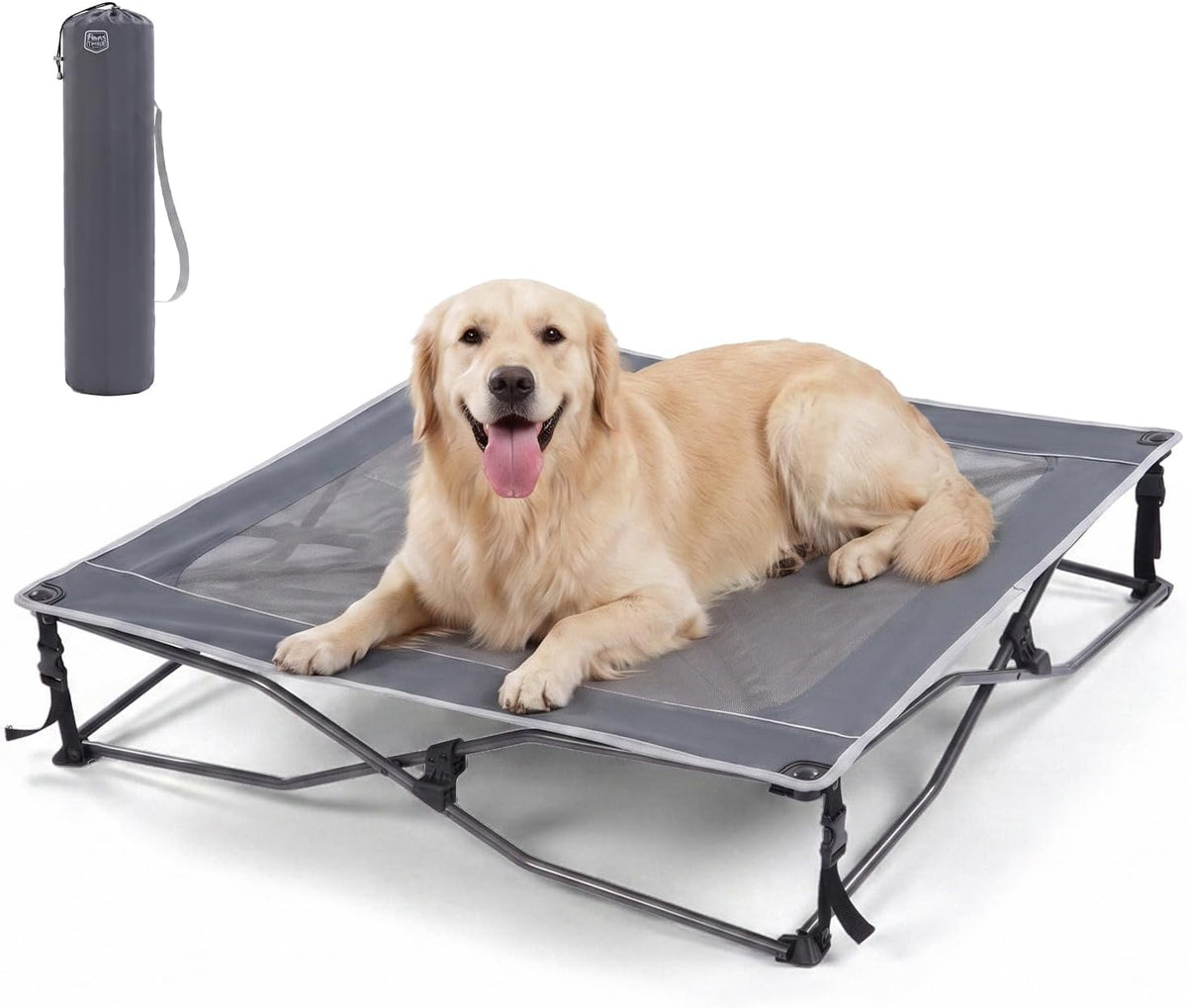 Elevated Outdoor Dog Bed