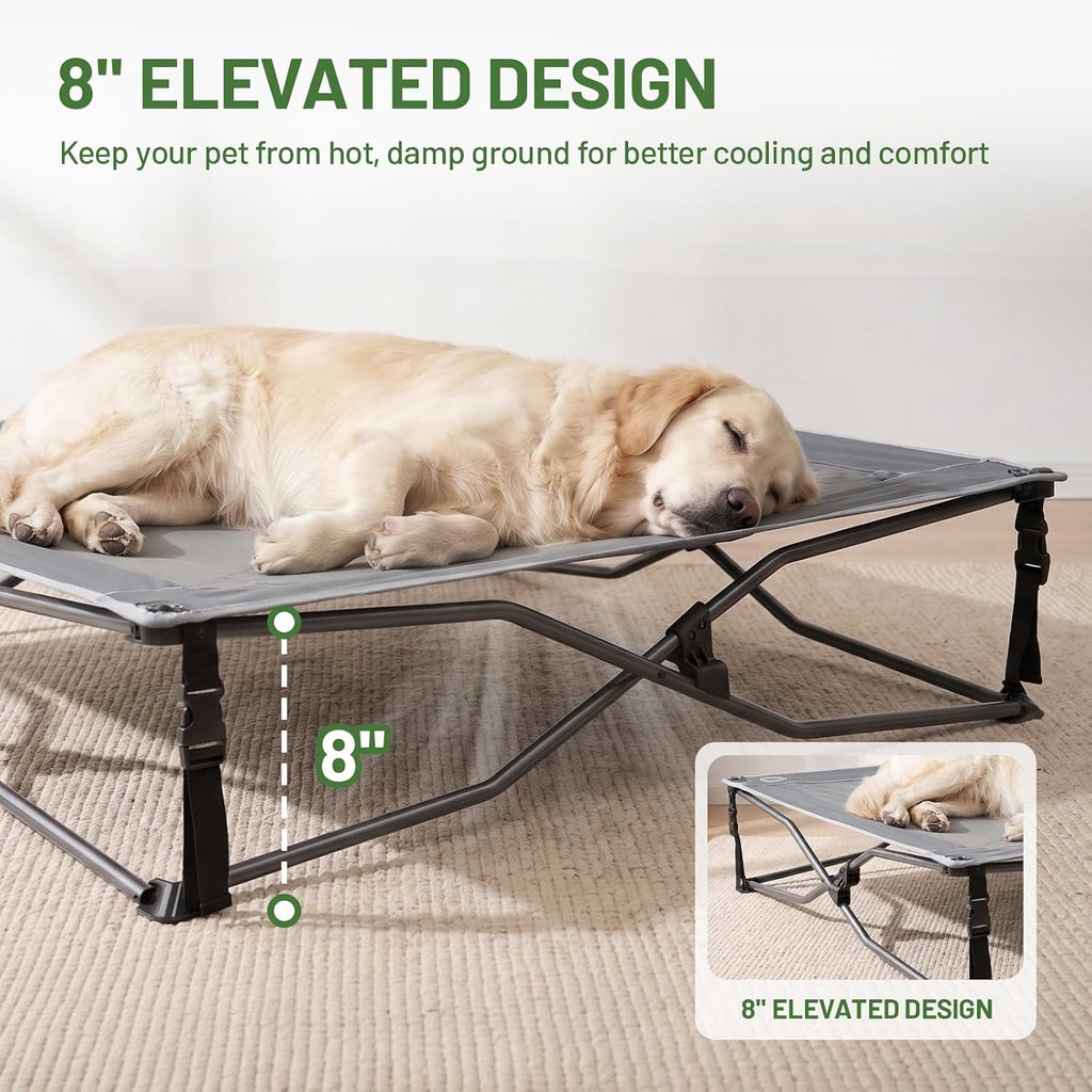 Elevated Outdoor Dog Bed
