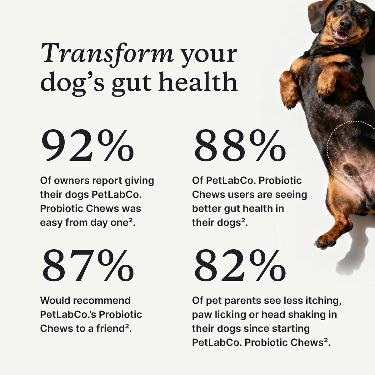 Delicious Pork Flavored Probiotic Chews for Dogs - 30 Soft Chews to Support Digestive Health and Allergies