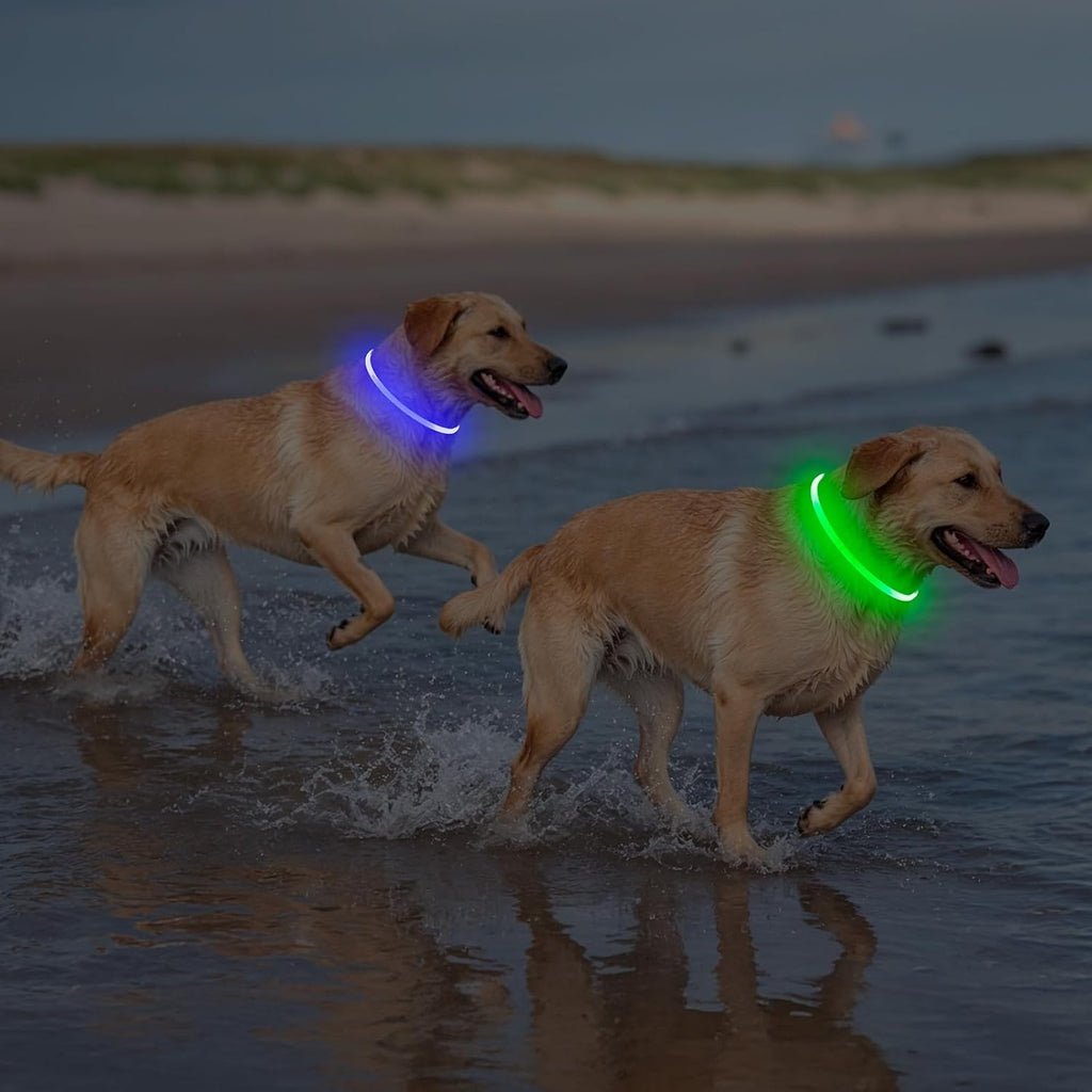 Rechargeable LED Dog Collar