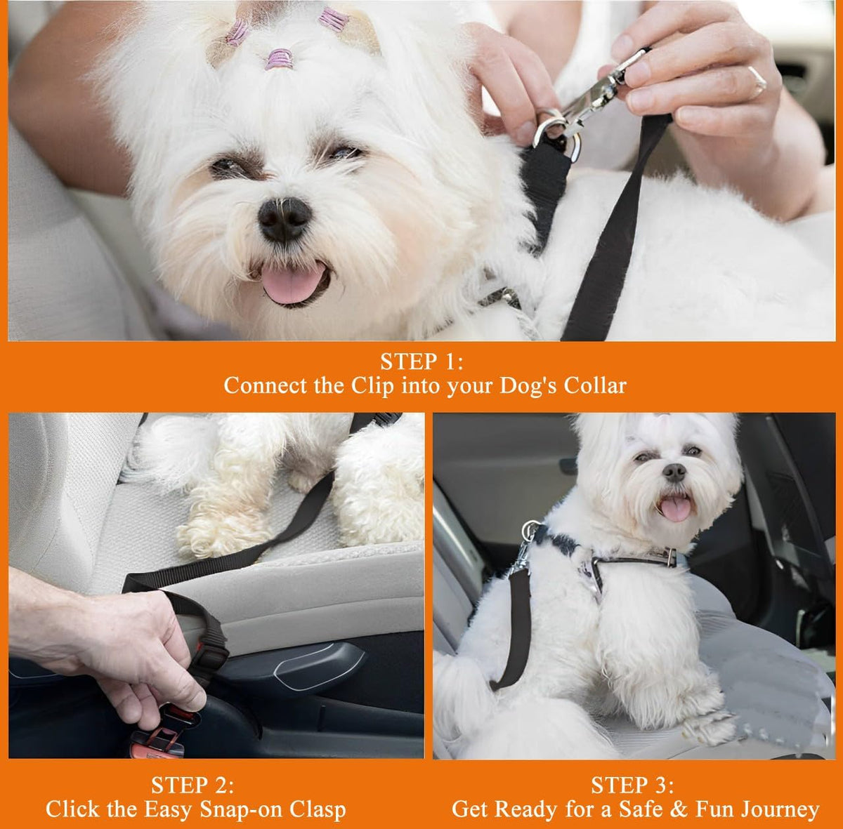 Dog Seat Belts for Cars