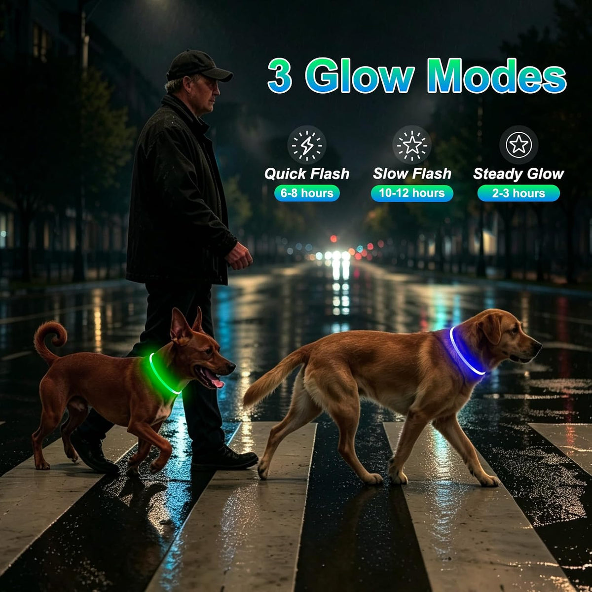 Rechargeable LED Dog Collar