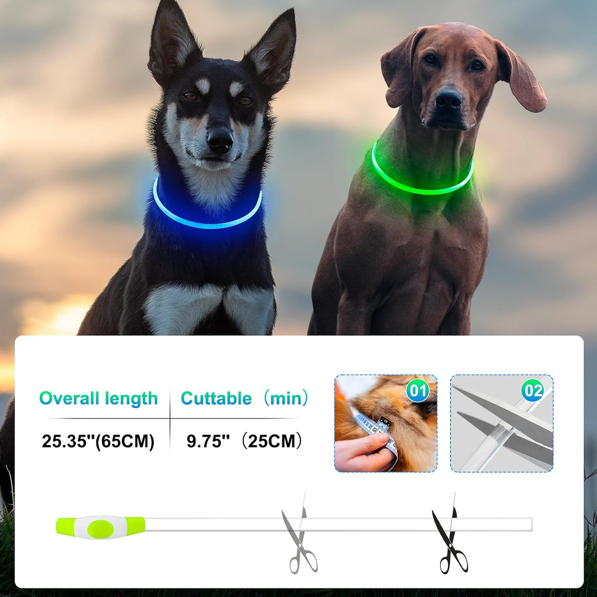 Rechargeable LED Dog Collar