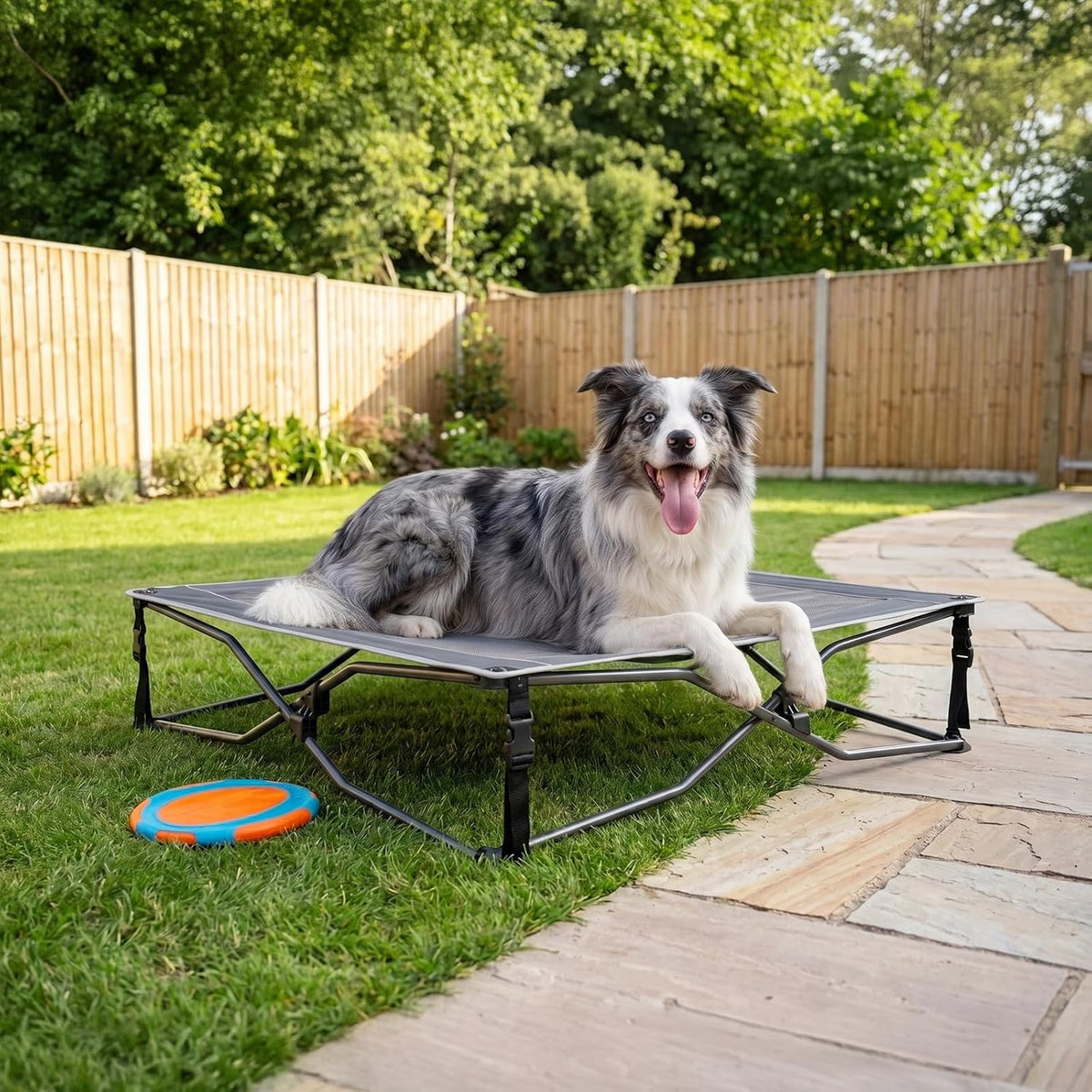 Elevated Outdoor Dog Bed