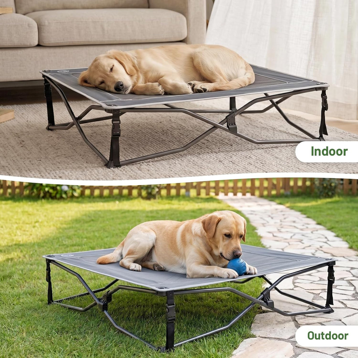 Elevated Outdoor Dog Bed