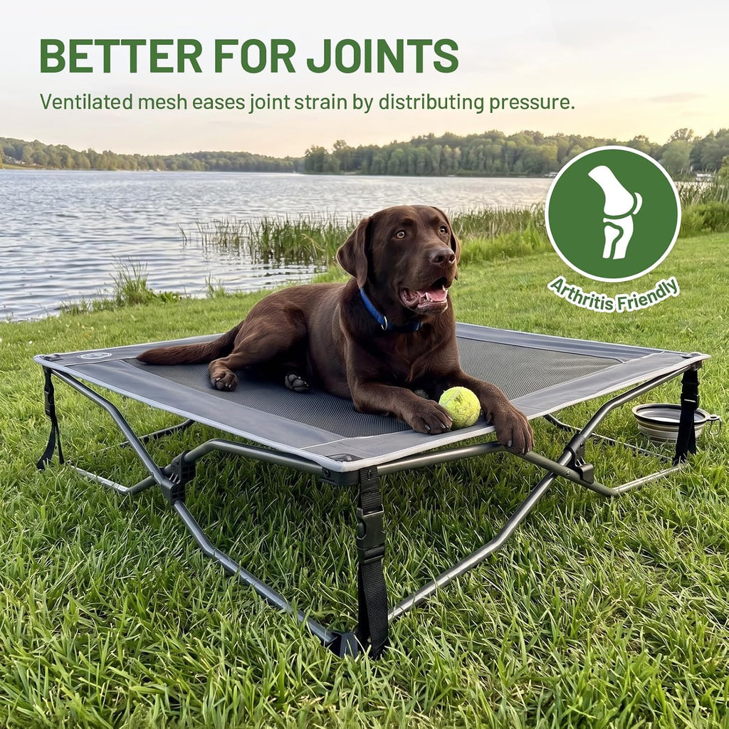 Elevated Outdoor Dog Bed