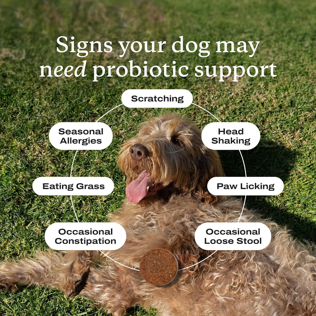 Delicious Pork Flavored Probiotic Chews for Dogs - 30 Soft Chews to Support Digestive Health and Allergies